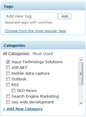 WordPress Categories & Tags